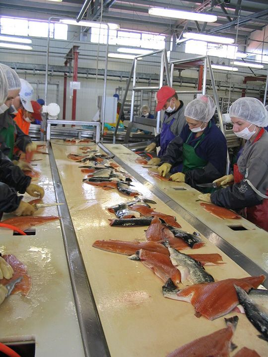 Для рыбного производства